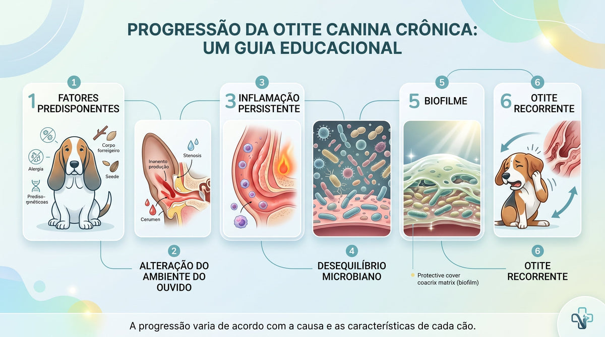 O Ouvido do Cachorro Precisa Estar Sempre Limpo? Entenda o Microbioma Auricular e a Saúde das Orelhas