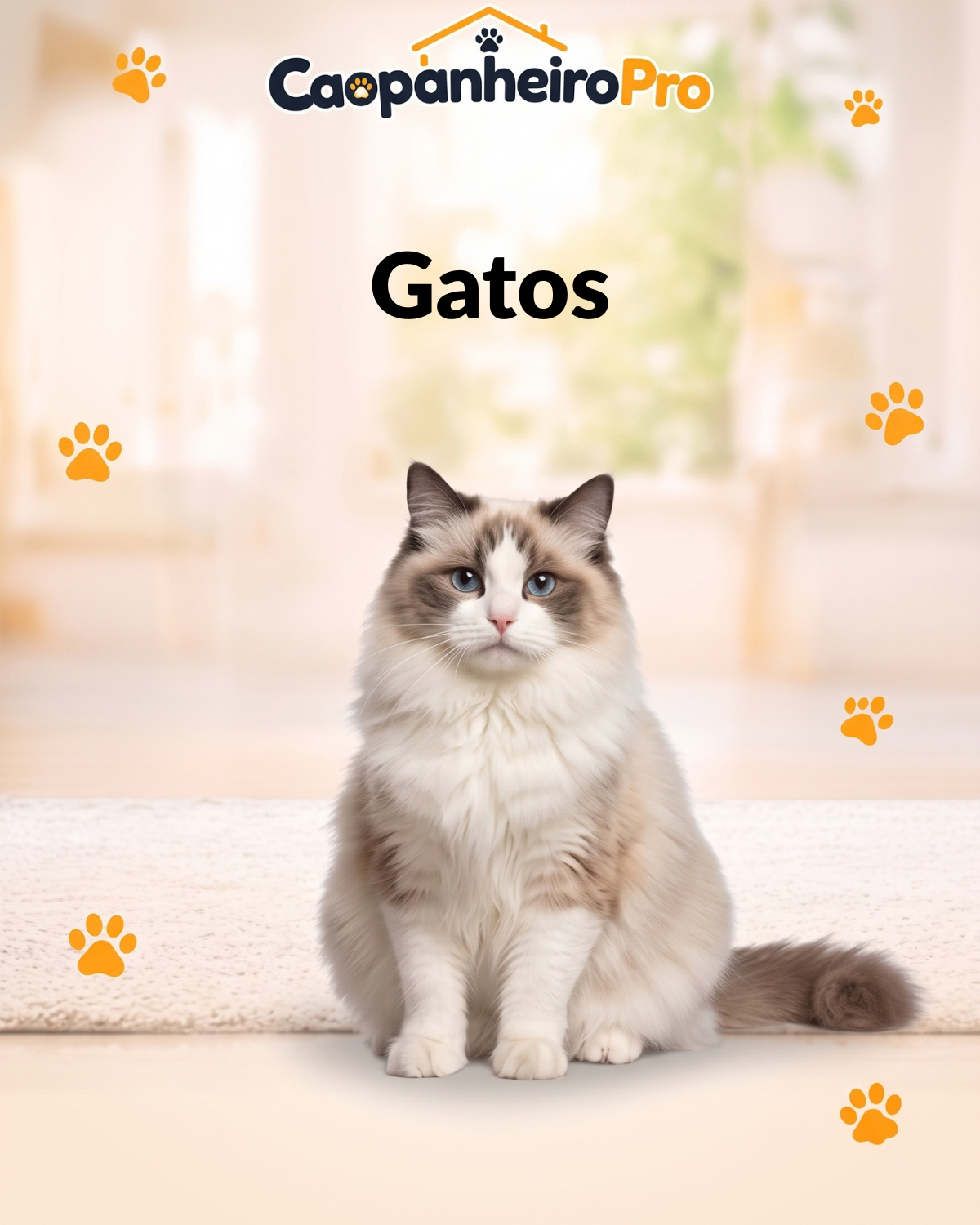 Gatos