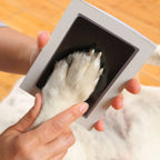 Kit de Impressão de Patas e Nariz para Cães e Gatos – Lembrança DIY sem Tinta