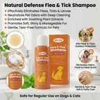 Shampoo Anti Pulgas e Carrapatos para Cães e Gatos — Extratos Naturais e Limpeza Profunda